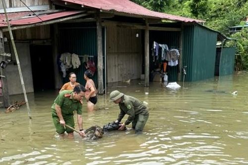 Lào Cai: Thủy điện xả lũ làm nhiều nhà dân bị ngập sâu, hư hại tài sản