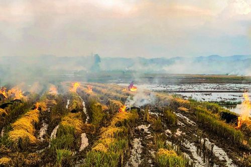 Thổn thức tháng Tám
