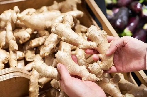 4 cách bảo quản gừng nửa năm không lo thối hỏng