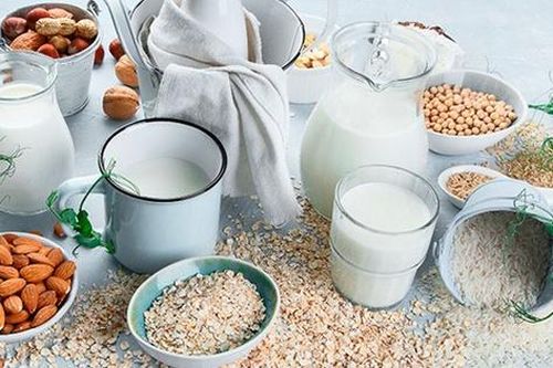 5 loại sữa thực vật tốt cho sức khỏe có thể thay thế sữa bò