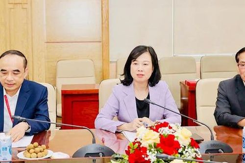 Bàn thảo hợp tác về điều trị và đào tạo nhân lực y tế Việt Nam - Nhật Bản