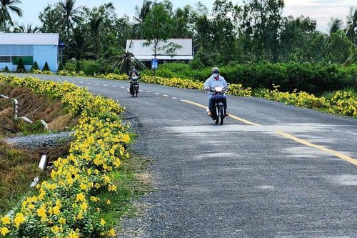 Sức sống mới ở Cù Lao Dung