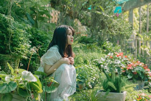 Làm thế nào để tưới tẩm vườn tâm?