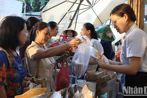 Phụ nữ Đà Nẵng khởi nghiệp sáng tạo và hành động xanh