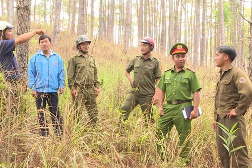 Điểm sáng Dơng Glê