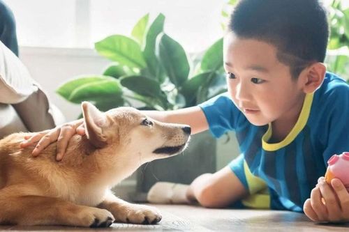 'Ươm mầm' lòng nhân ái giúp con sống trong tình yêu thương