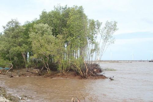 Chủ tịch Bạc Liêu chủ trì họp khẩn về sạt lở đê Biển Đông