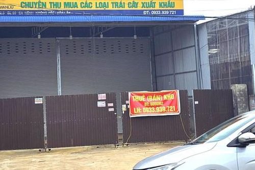 Cảnh lạ thường ở thủ phủ sầu riêng