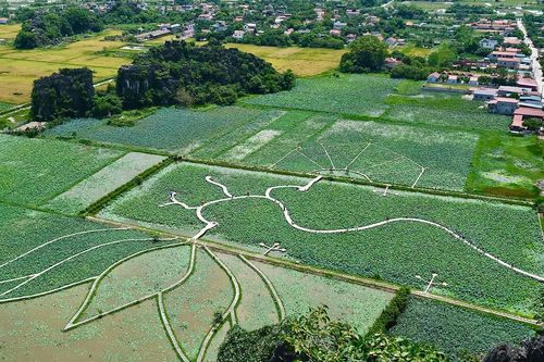 Ninh Bình tập trung phát triển du lịch gắn với xây dựng nông thôn mới