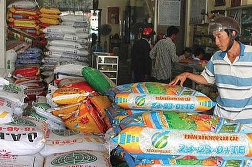 Giá phân bón hôm nay 6/8: Ổn định