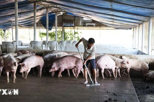 Đồng Nai ưu tiên phát triển sản xuất nông nghiệp hữu cơ