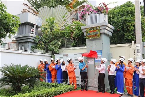 TP Hồ Chí Minh ngầm hóa 12,5 km điện trung thế và hạ thế