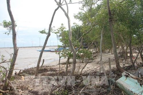 Sạt lở đê Biển Đông, UBND tỉnh Bạc Liêu họp khẩn