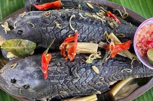 Loại cá 'xấu đau xấu đớn' lại ngon hơn thịt gà, không phải ai cũng được thưởng thức