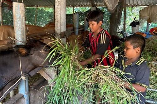 100 học sinh hoàn cảnh khó khăn, nỗ lực học tập cùng tham gia trại hè
