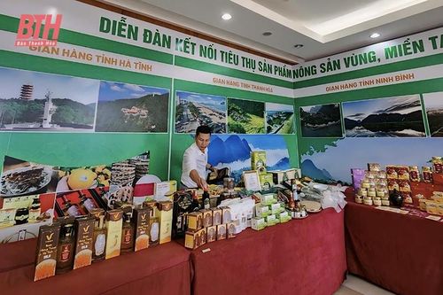 Nâng cao hiệu quả hoạt động của HTX thương mại, dịch vụ