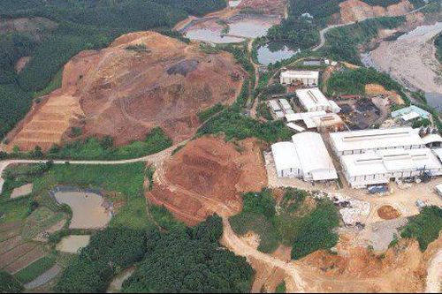 Thái Dương Group đang kinh doanh mảng gì trước khi bị khởi tố?