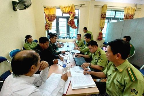 Bất cập trong giao đất, giao rừng (bài 2)
