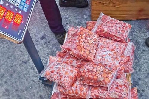Chi cục Hải quan Cửa khẩu Lào Cai bắt lô hàng trên 8.000 kg trứng gà non đông lạnh nhập lậu