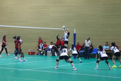 Khai mạc Giải vô địch bóng chuyền nam, nữ tỉnh Lâm Đồng năm 2024
