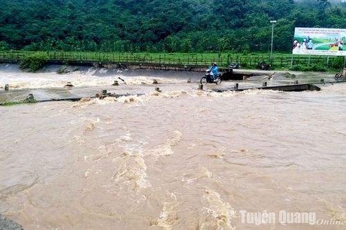 Khắc phục hậu quả thiên tai trên địa bàn tỉnh theo phương châm 'bốn tại chỗ' với tinh thần chủ động, kịp thời