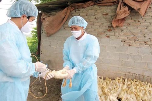 Ngăn chặn lây nhiễm, không để xảy ra dịch trên địa bàn