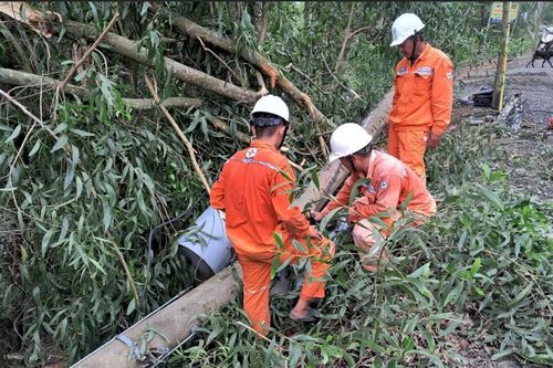 Ngành Điện miền Nam cảnh báo nguy cơ mất an toàn điện mùa mưa bão
