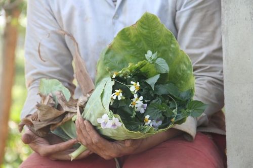 Điều kiện của hạnh phúc