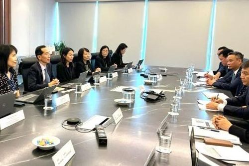 Cơ quan Thuế Việt Nam - Singapore chia sẻ kinh nghiệm mô hình tổ chức quản lý thuế