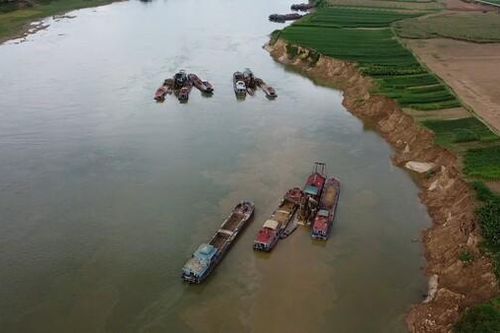 Tuyên Quang: Công ty Hải Tiến Đạt bị phạt 127 triệu do khai thác cát sỏi ngoài phạm vi cấp phép