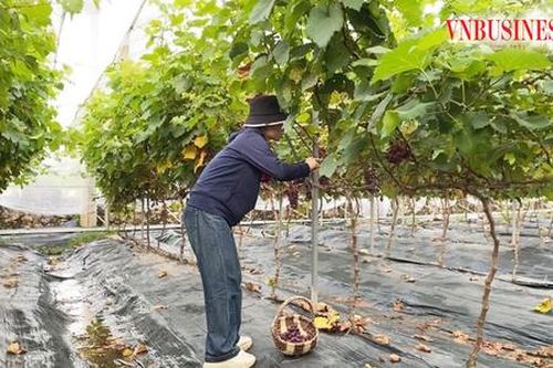 Hà Nội tạo đột phá trong phát triển kinh tế - xã hội với 'bàn đạp' khoa học công nghệ