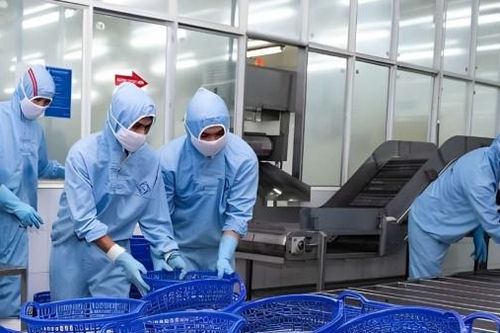 Biến động trái chiều lợi nhuận của doanh nghiệp tôm nửa đầu năm 2024