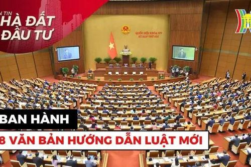 Bản tin Nhà đất và đầu tư | 06/08/2024