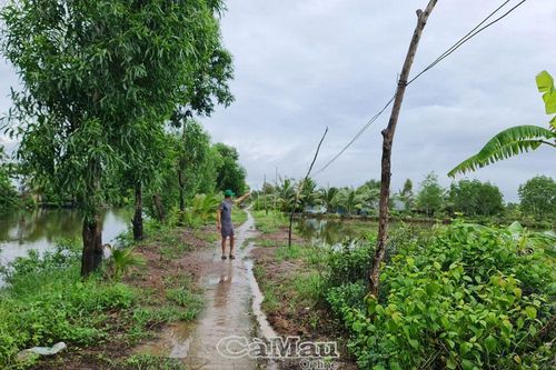 Ở thành thị lại chịu cảnh điện 'chia hơi'