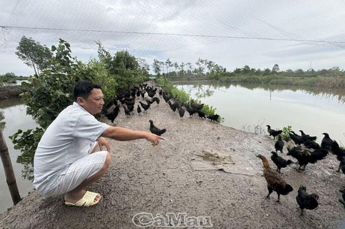Ða dạng vật nuôi, tăng nguồn thu nhập