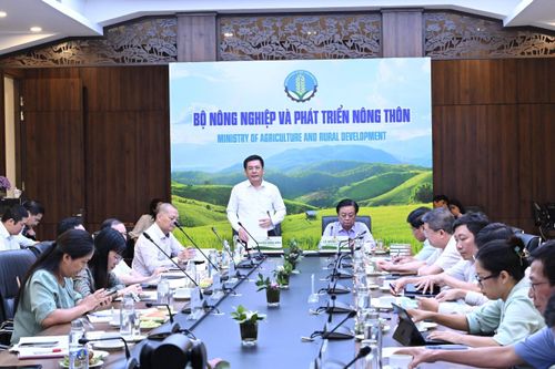 Đề xuất thành lập Hội đồng lúa gạo quốc gia