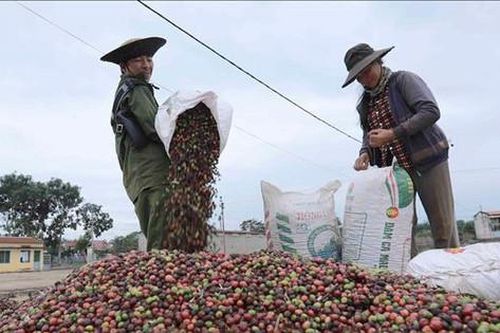 Tin tức đặc biệt trên báo in Hànôịmới ngày 6-8-2024