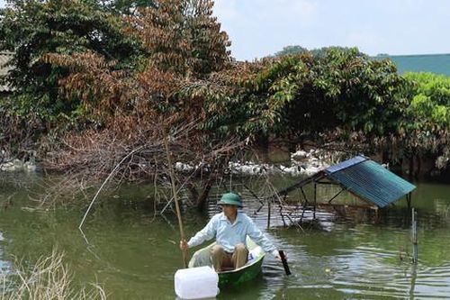 Chương Mỹ xác minh thiệt hại, khôi phục sản xuất sau mưa lũ