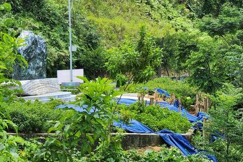 Biểu tượng 'Cổng Trời Mường Lát' phải dùng cọc tre gia cố