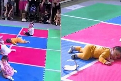 Cuộc thi bò của các em bé ở Thái Lan, ai xem cũng cười: Có bé nằm lăn ra đất