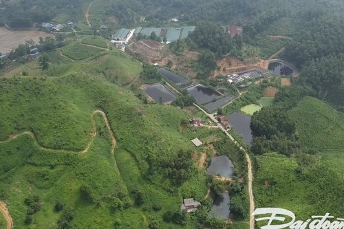 Thái Nguyên: Người dân khổ vì trại lợn gây ô nhiễm ở đầu nguồn nước