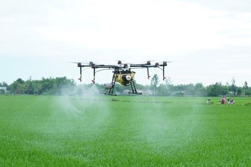 Đầu tư vào nông nghiệp ứng dụng công nghệ cao: Cần 'đầu tàu' dẫn dắt