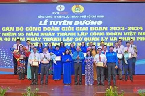 Tuyên dương hơn 100 cán bộ công đoàn giỏi ngành điện TP Hồ Chí Minh