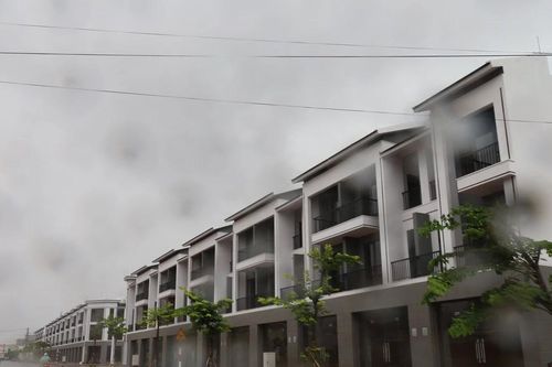 Dự án TNR Đông Hải - Gành Hào, Bạc Liêu: Nhà thầu phụ gặp khó khăn vì không đòi được nợ