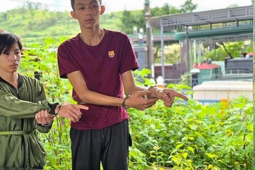 Bắt nhóm thanh niên cạy phá hơn 100 ngôi mộ