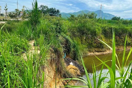 Sống bất an bên bờ sông Phước Giang