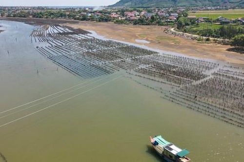 'Ma trận' cọc tre, trụ bê tông giữa lòng sông ở Hà Tĩnh