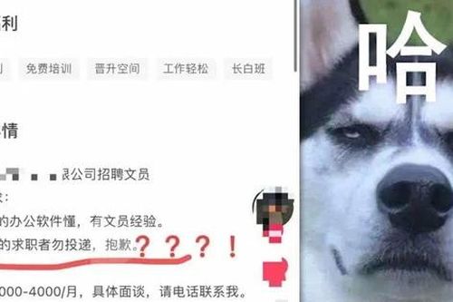 Công ty hứng 'bão' chỉ trích vì không tuyển người tuổi Tuất