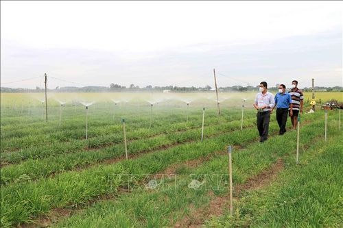 Nâng giá trị sản xuất đất trồng trọt thêm 15 triệu đồng/ha