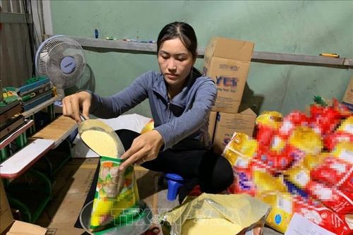 Xử lý đối tượng sản xuất, buôn bán hàng giả
